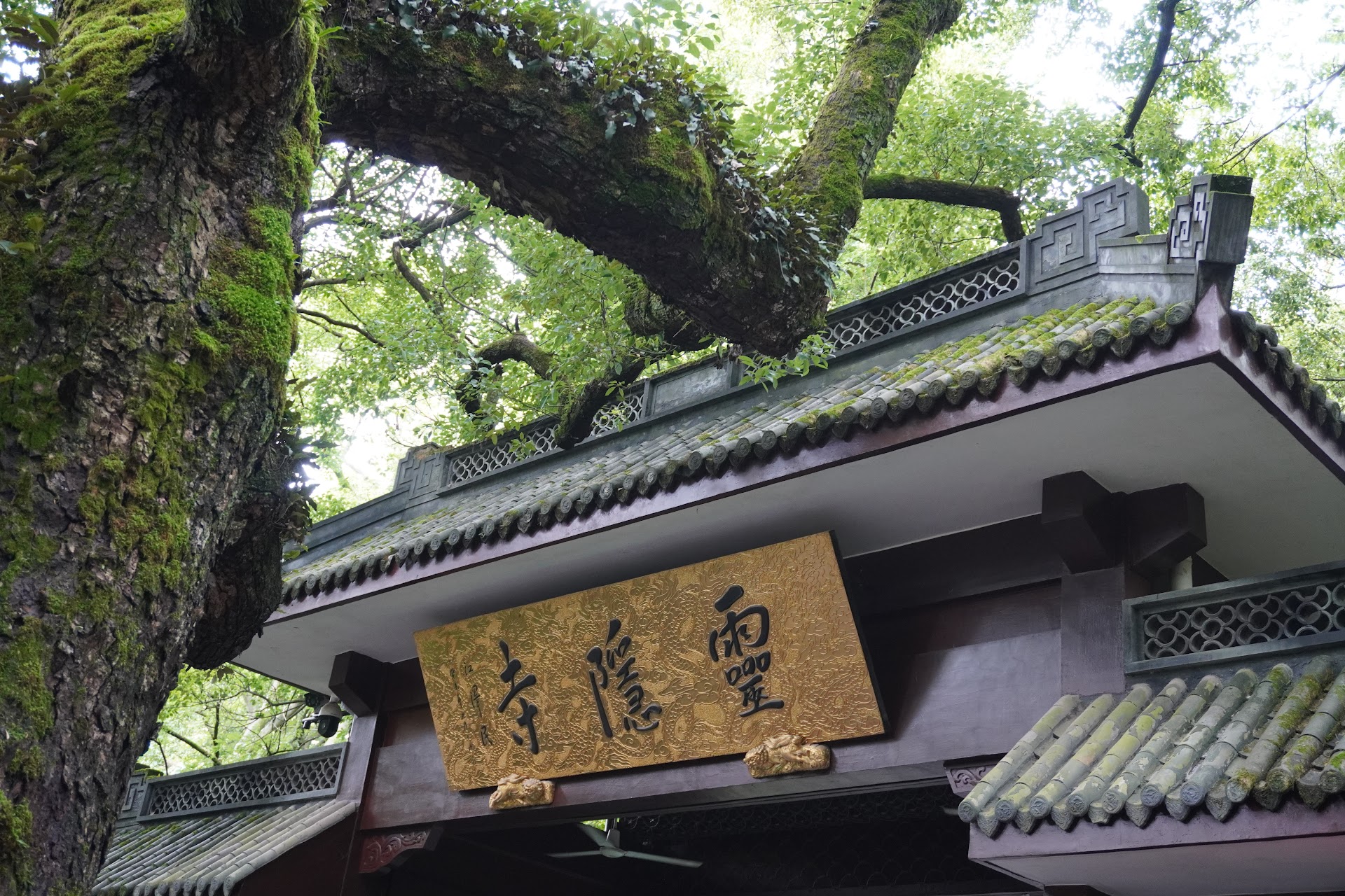 ./lingyin-temple.jpeg