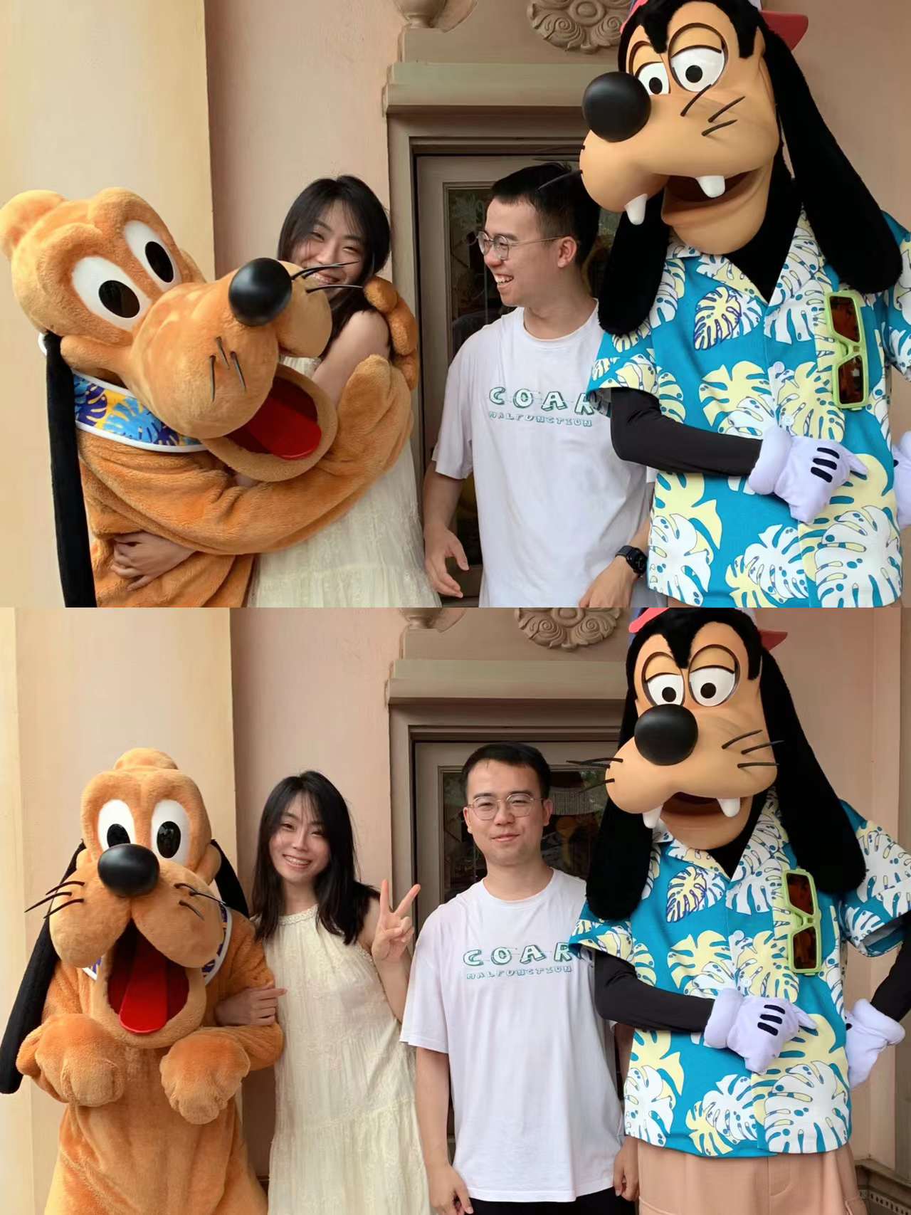 ./Pluto-with-Goofy.jpeg
