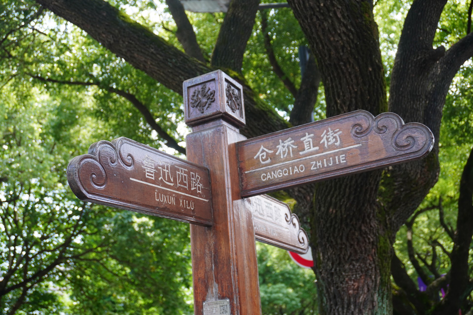 ./cangqiaozhijie.jpeg